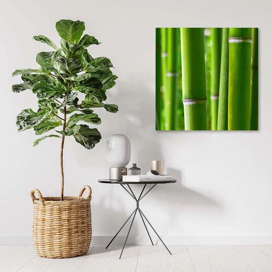 Canvas Print Bamboo Zen Spa Nature