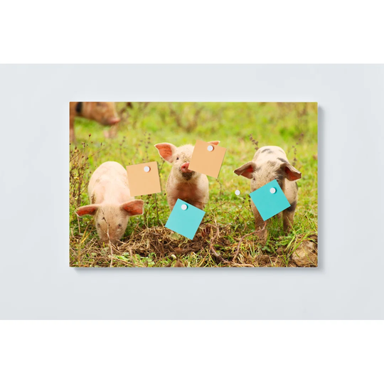 Pigs Magnetic Wall Mounted Cork Board