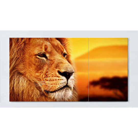 Lion Motif Magnetic Wall Mounted Cork Board