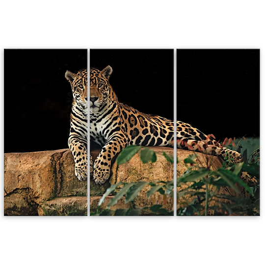 Canvas Print Leopard Panther Cat Animal