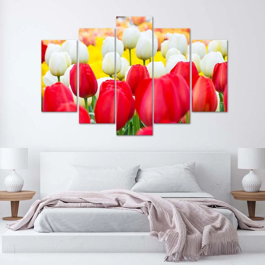 Canvas Print Tulip Red White