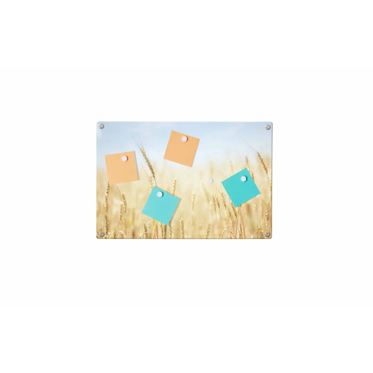Cornfield Magnetic Wall Mounted Photo Memo Board