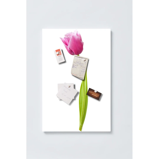 Tulip Magnetic Wall Mounted Cork Board