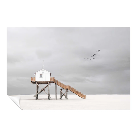 Panther Print Fine Art Prints Beach Cabin & Black Birds Artistic Unframed Poster, Pictures For Home Walls, Bedroom, Living Room & Bathroom Décor