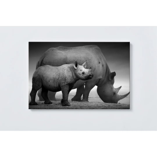 Rhino Magnetic Wall Mounted Cork Board