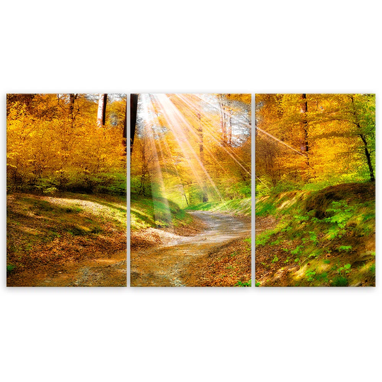 Canvas Print Forest Autumn Nature