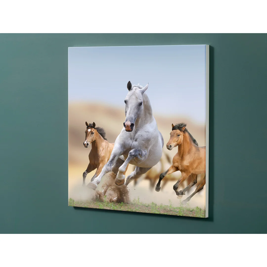 Notiz Motive Horses Magnetic Wall Mounted Cork Board
