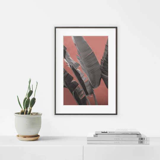 Terracota Banana Tree - Picture Frame Photograph Print on Paper