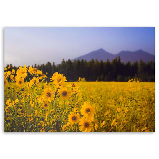 Canvas Print Meadow With Yellow Flowers Mountain