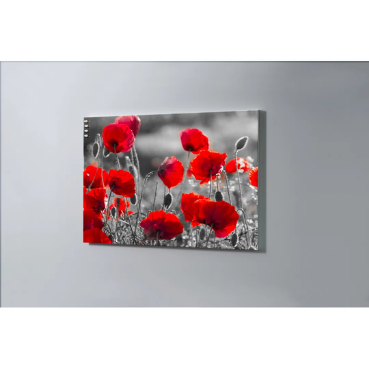Poppy Flowers Magnetic Wall Mounted Cork Board