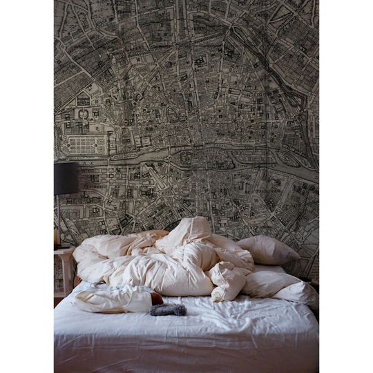 Grayton Paris Vintage Map Wallpaper
