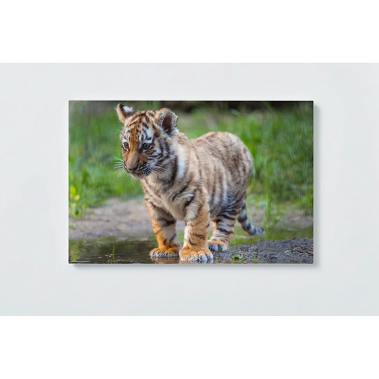 Tiger Motif Magnetic Wall Mounted Cork Board