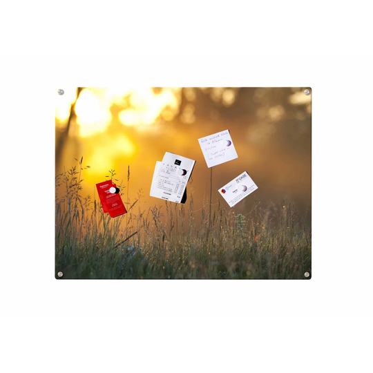 Forest Trees Magnetic Wall Mounted Photo Memo Board