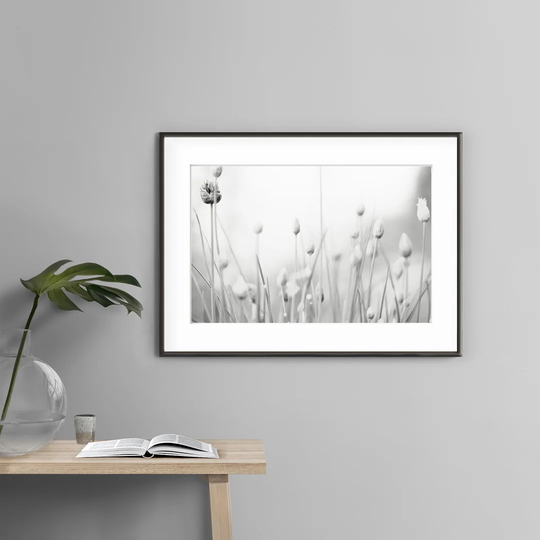 Black and White Flower - Picture Frame Photograph Print on Paper