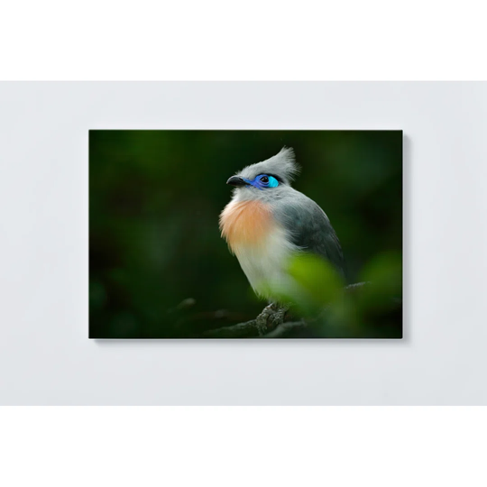 Bird Magnetic Wall Mounted Cork Board
