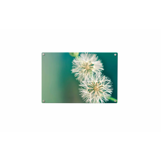 Dandelion Magnetic Wall Mounted Photo Memo Board