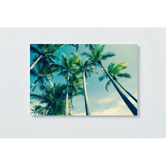 Palm Motif Magnetic Wall Mounted Cork Board