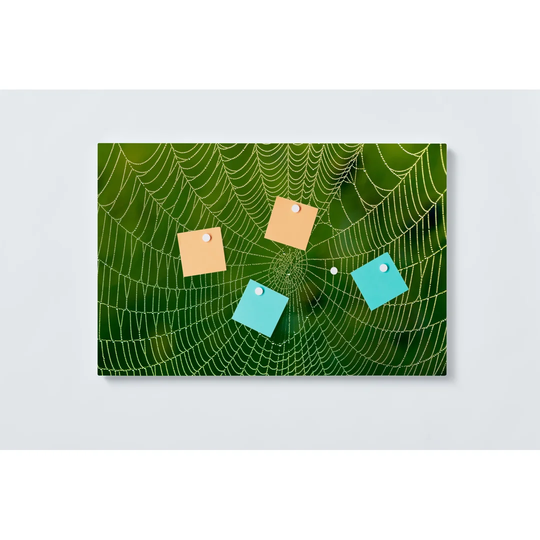 Spider'S Web Magnetic Wall Mounted Cork Board