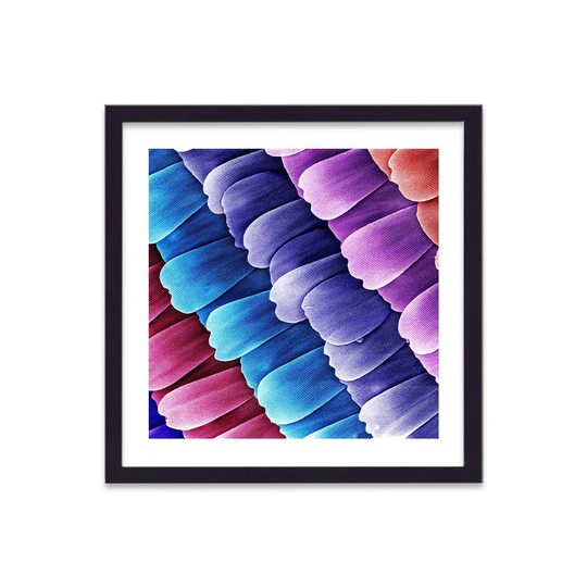 Cellular Beauty Art 3 Butterfly Wing V1 by Vouvart - Picture Frame Graphic Art
