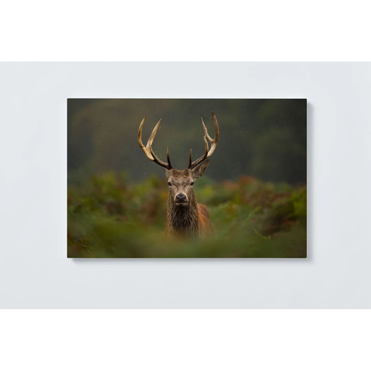 Stag Magnetic Wall Mounted Cork Board