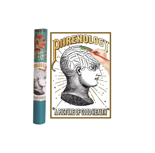 Phrenology Colouring in Poster - Unframed Drawing Print on Paper