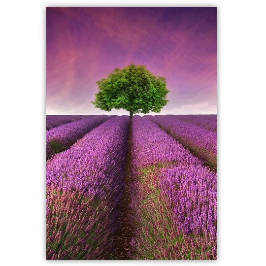 Canvas Print, Purple Landscapes 16309