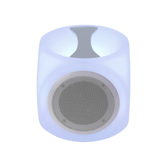 Albourne 1-Light LED Decorative Light with Battery