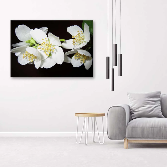 Canvas Print Jasmine Flower Nature