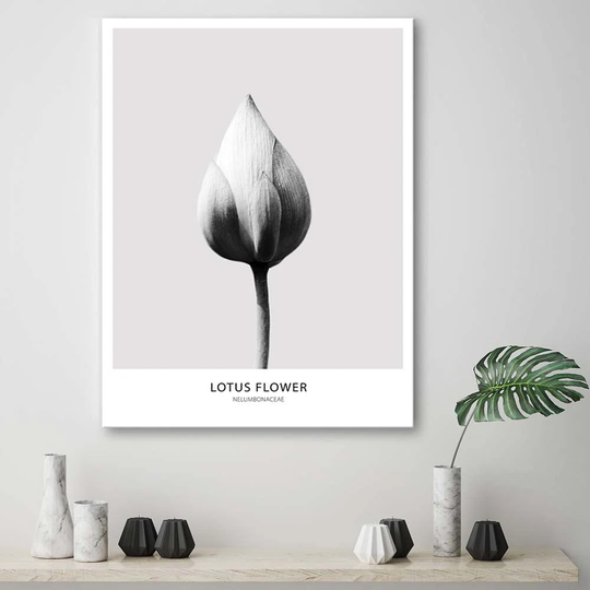 Canvas Print Lotus Flower Black And White