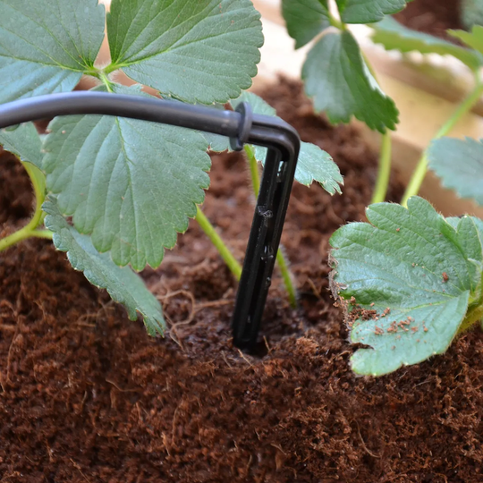 Palram - Canopia Canopia by Palram Greenhouse Drip Irrigation Kit