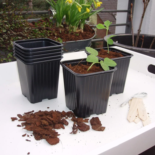Nature 106 Pieces Propagator Start Kit