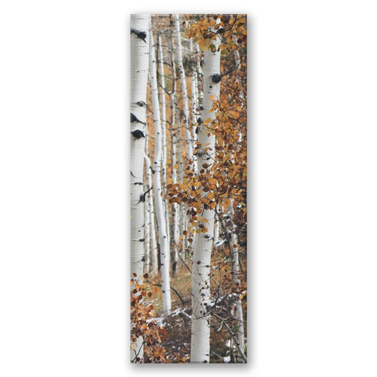 Canvas Print, White