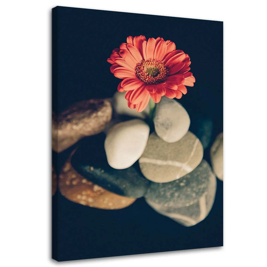 Canvas Print Gerbera Flowers Zen Stones