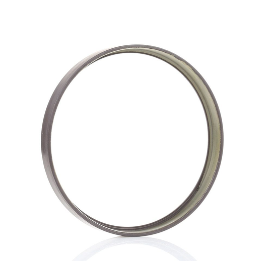 RIDEX ABS Ring MERCEDES-BENZ,CHRYSLER 2254S0006 2113500056,2113500456,2113503856 2303506210,2303507410,2303507610,2303570182,2303570382,A2113500056