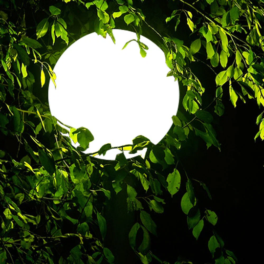 Hanging globe lamp with 15M cable IP54 1 1