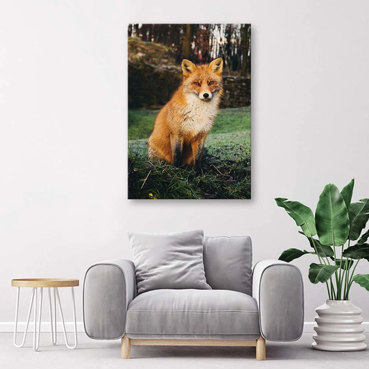 Canvas Print Fox Forest Nature Animals