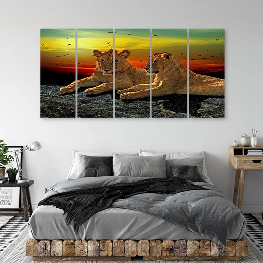 Lion Savanna Africa