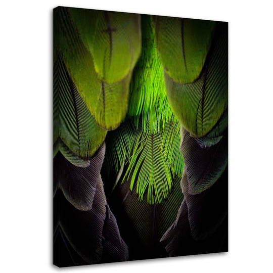 Canvas Print Feather Bird Nature Green