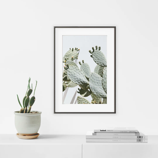 Cactus Opuntia N°3 - Picture Frame Photograph Print on Paper