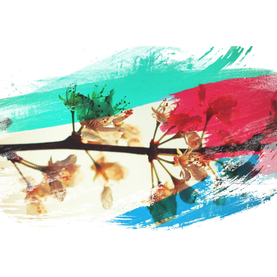 'Flower Pink Blossom Tree' Graphic Art Print Poster