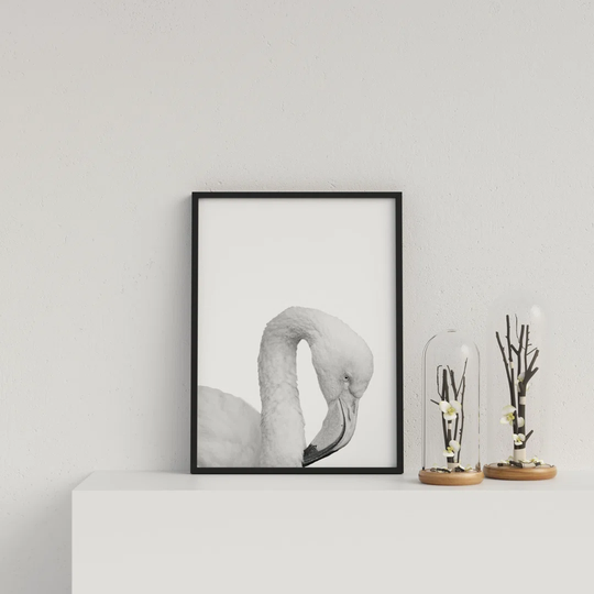 Flamingo on White Background by Vouvart - Picture Frame Photograph