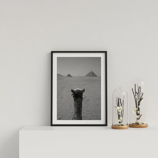 Camel Trek to Pyramids by Vouvart - Picture Frame Graphic Art