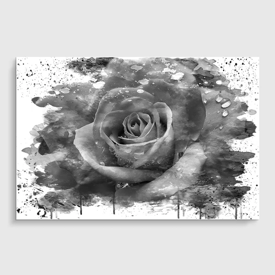'White Rose Flower' Graphic Art Print Poster