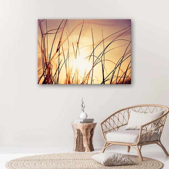Canvas Print Sunset Nature Grass Plants
