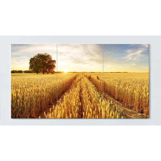 Corn Field Magnetic Wall Mounted Cork Board