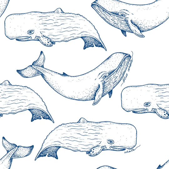 Walllpaper Roll 312X219cm Kitchen Livingroom Bedroom Mural Decoration Wallpaper Material With Print - Utensil Whale Sea Animal