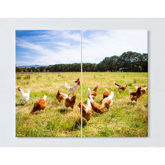 Chickens Motif Magnetic Wall Mounted Cork Board