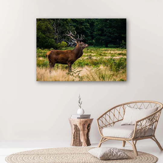 Canvas Print Deer In The Forest Nature