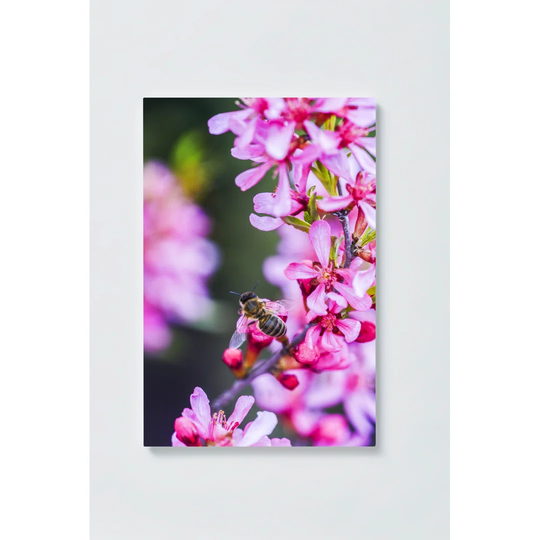 Bee Motif Magnetic Wall Mounted Cork Board