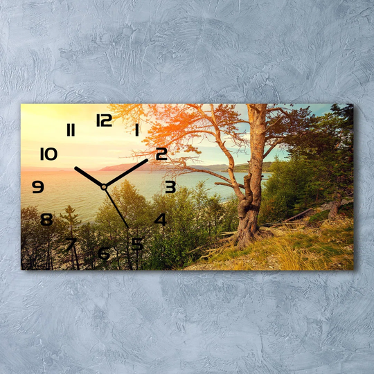 Janujan Silent Wall Clock